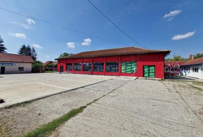 Spațiu comercial, de 530 mp, în Lacurile - 3