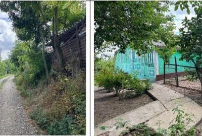 Casă cu 3 camere cu Teren 1481 Mp în Mogoșești - 13