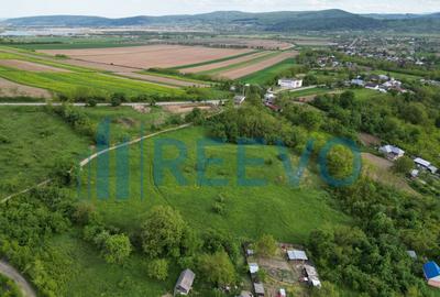 Teren de vanzare, Com. Racova, Str. Bradului, Bacau - 5