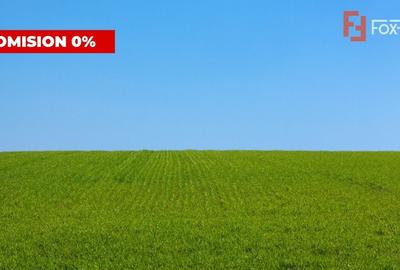 Teren agricol, în Săcălaz - 1