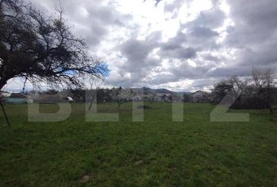 Casa 80mp, teren 7500mp , intravilan, zona Valea Bargaului - 14