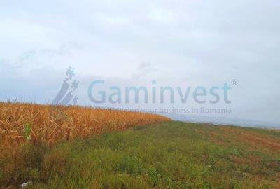 Teren Construcții intravilan de 6751 mp, în Alparea - 3