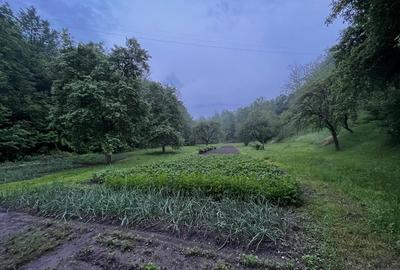 Casă cu 6 camere în Central - 9