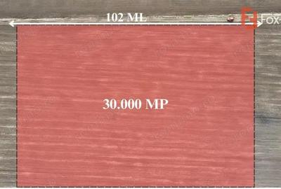 Teren de 30000 mp, în Dumbrăvița