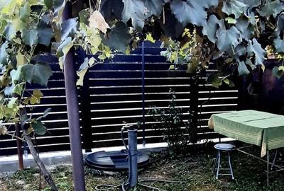 Casă cu 4 camere cu Teren 790 Mp în Plopșoru - 2