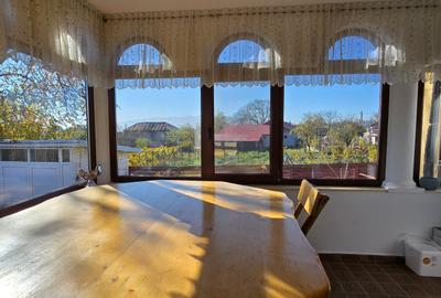 VILA LUX DE VANZARE -PANCIU-STRAOANE - 29