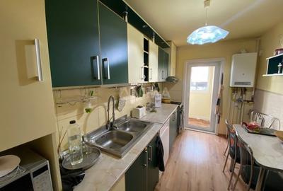 Apartament cu 3 camere de inchiriat in zona strazii Mogosoaia - 3