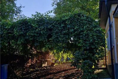 Casă cu 3 camere cu Teren 2400 Mp în Șintereag - 8