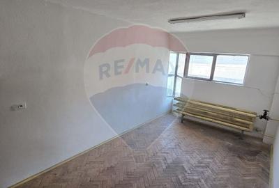 Proprietate specială, de 250 mp, în Industrială - 3