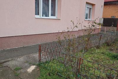Casă cu 3 camere în Elisabetin - 5