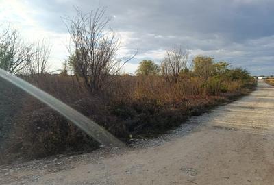 Teren pentru Constructii str.Ortansei -str Orhideei deschidere 364m pe 30m Teren pentru Constructii str.Ortansei -str Orhideei deschidere 364m pe 30m - 3