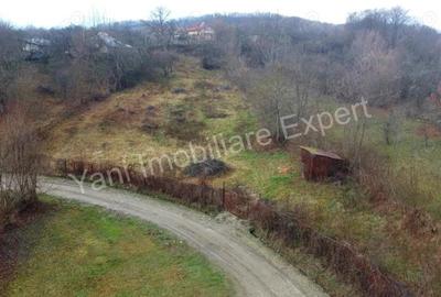 Teren de 3357 mp, în Bădila - 8