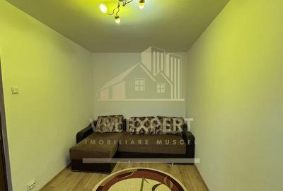 APARTAMENT 2 CAMERE ETAJ 3 VI?OI CAMPULUNG - 3