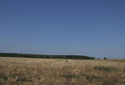 Teren Construcții intravilan de 733 mp, în Clinceni - 8