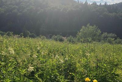 Teren de 567 mp, în Central - 3