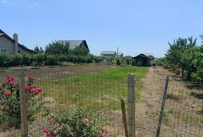 Spațiu comercial, în Tăbăcari - 2