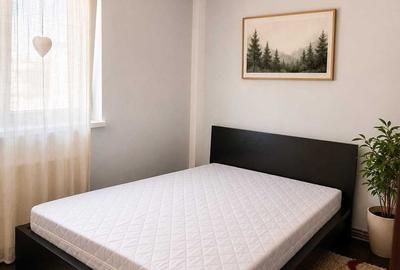 Apartament cu 2 camere decomandat în Ultracentral - 3
