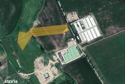 Teren de 40000 mp, în Central