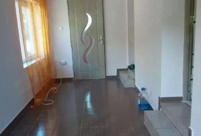 Casă cu 2 camere cu Teren 1400 Mp în Criș - 4