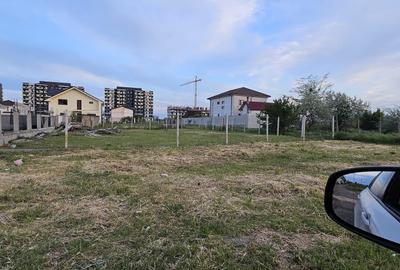 Veterani / 500 mp - 3