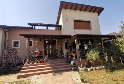 Casă cu 8 camere cu Teren 1481 Mp în Sântandrei