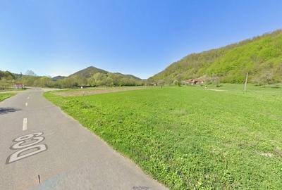 Teren de 5735 mp, în Ribița - 3