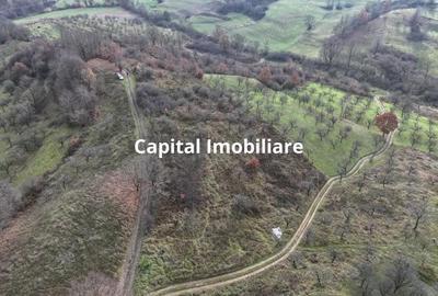 Teren de vanzare in Gro?i, Maramure?, 55 ari - 2