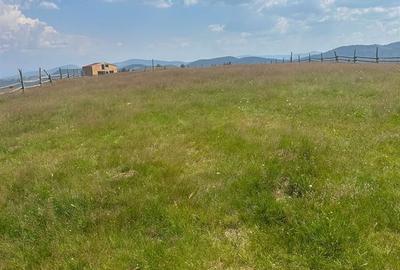 Teren de 800 mp, în Central - 1