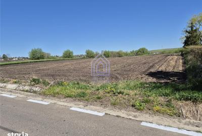 Teren de 5100 mp, în Moara - 3