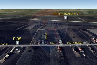 Teren Construcții intravilan de 19100 mp, în Secuienii Noi - 1