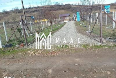 Spațiu comercial, în Șura Mare