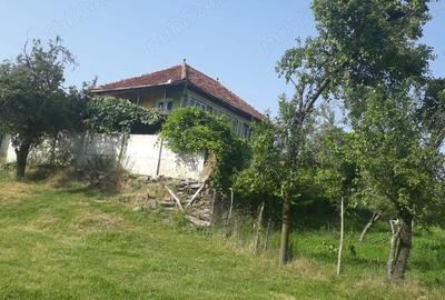 Casă cu 2 camere cu Teren 9050 Mp în Crasna - 3