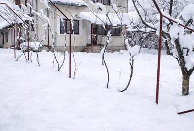 Casă cu Teren 3074 Mp în Cordun - 8