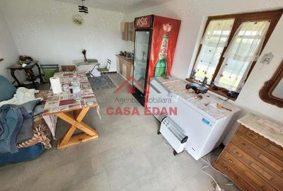 Teren extravilan in Baicoi 10.000mp plantatie mure --80.000e - 4