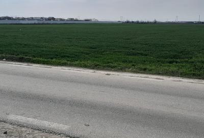 Teren agricol extravilan de 7462 mp, în Berceni - 3