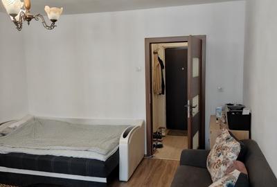 Garsonieră semidecomandată în Dosu Bricii - 1