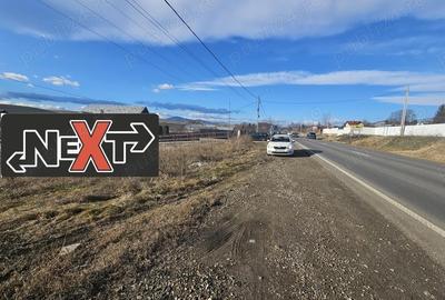 Teren Turturesti la strada principala - 4