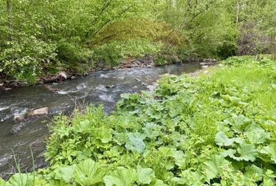 Teren agricol extravilan de 20876 mp, în Breb - 8