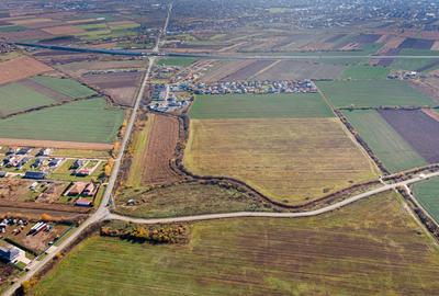 Satu Mare, Oportunitate pentru dezvoltatori, Teren generos parcelat - 4