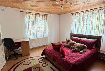 Casă cu 3 camere în Boiu