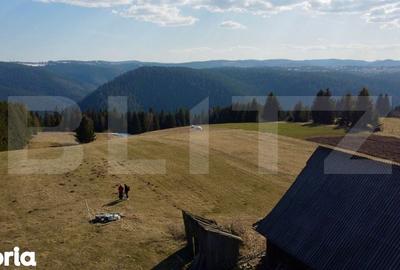 Teren de 10909 mp, în Râșca - 3