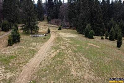 Teren de 1000 mp, în Poiana Brașov - 12