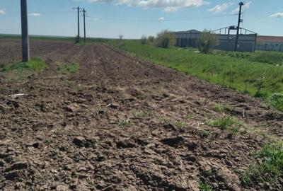 Spațiu comercial, în Poiana