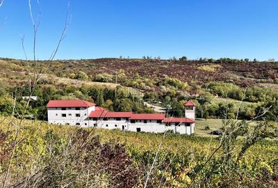 14Ha podgorie, livada pomi fructiferi, si conac 3000mp - 1