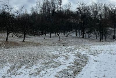 Teren de 3400 mp, în Petros - 1