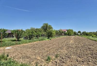 Teren de 2658 mp, în 1 Decembrie - 2