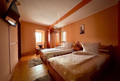 Pensiunea Polyana – business la cheie în inima stațiunii balneoclimaterice Bazna - 11