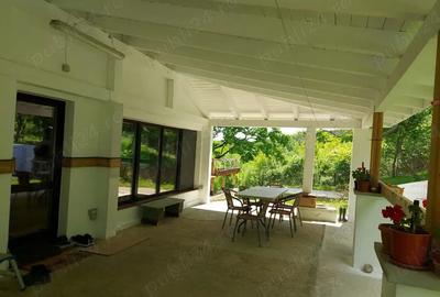 Casa cu peste 1HA pamant in Calimanesti - 3