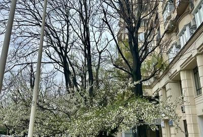 Apartament cu 4 camere decomandat, mobilat în Unirii - 1