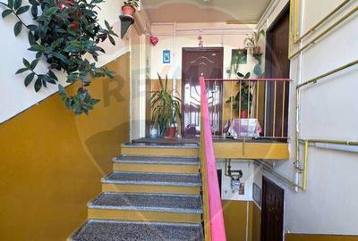 Apartament doua camere Gura Campului Medias - 16